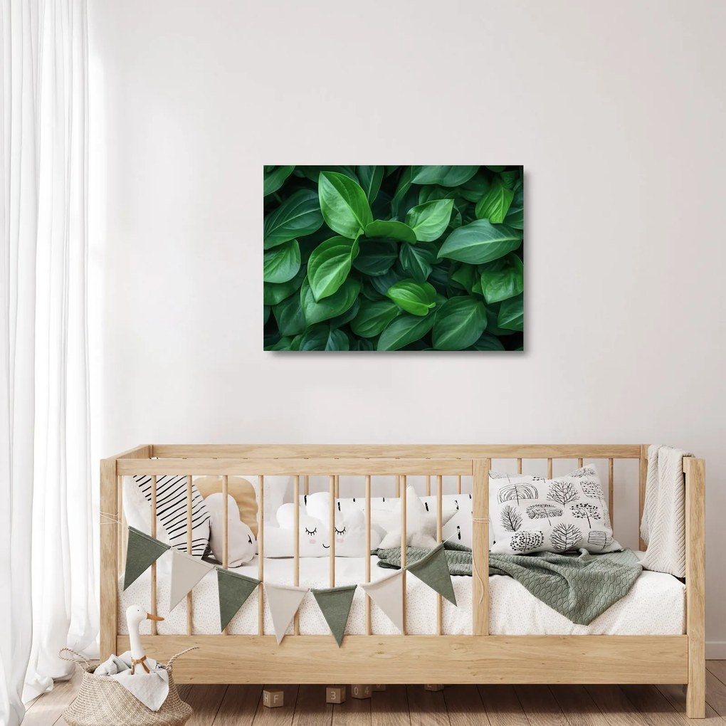 Üveg kép - Zöld levelek (70x50 cm)
