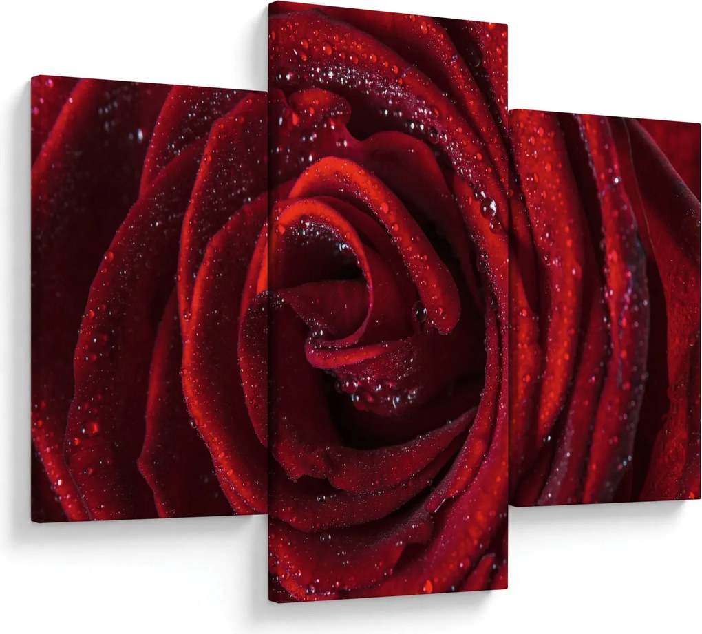 Kép - Vörös rózsa harmatcseppekkel (90x60 cm)