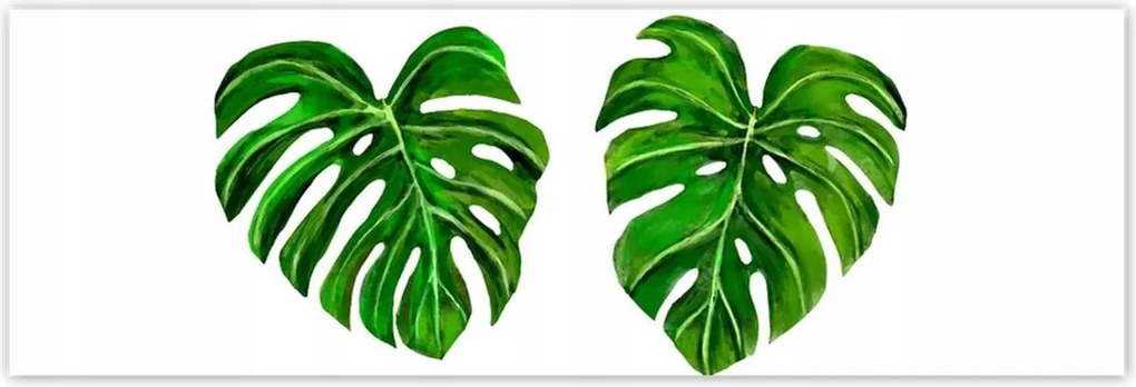 Poszterek 200x66 Lyukas monsera levelek