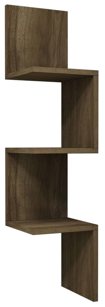 Falipolc Zikky (dió). 1062687
