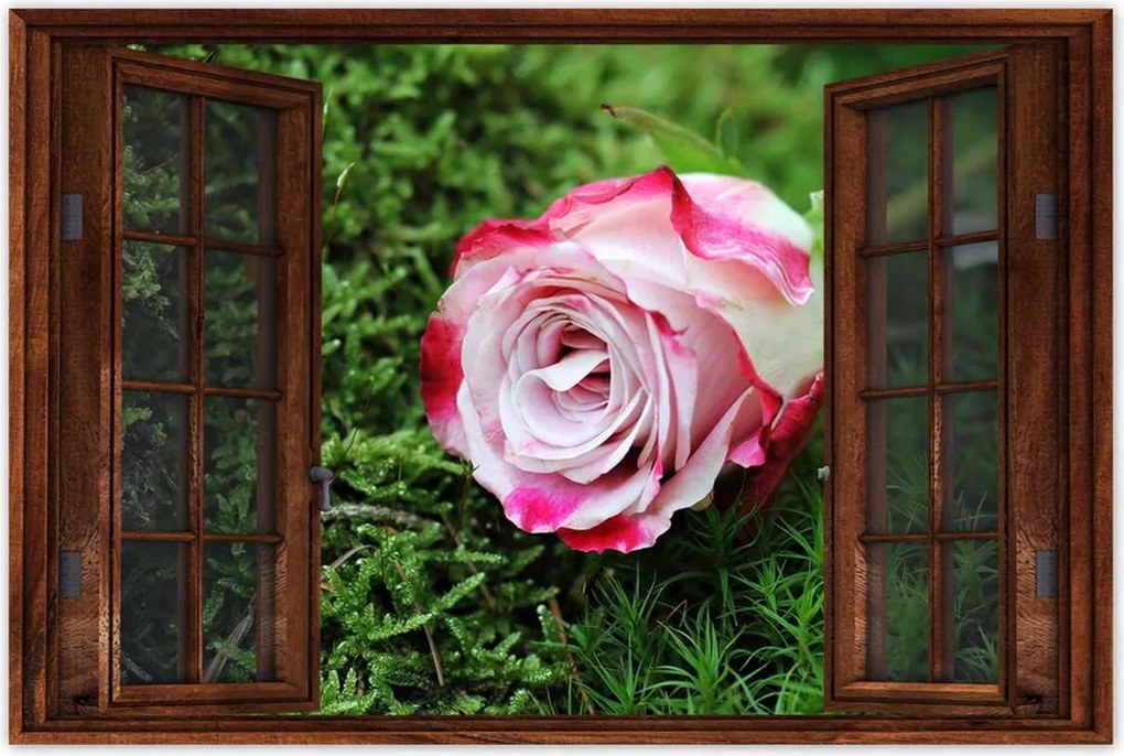 Poszterek 90x60 Rózsa Virág Virágok Rózsa