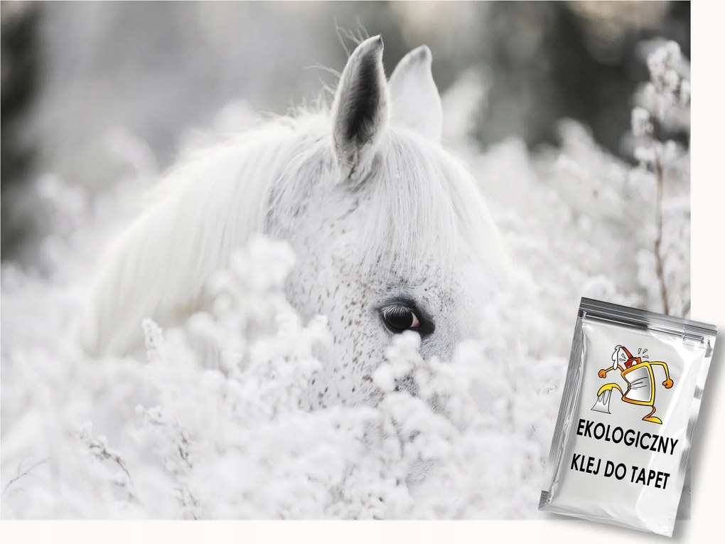 Fotótapéta Flizelina Ló Fehér Romantikus paripa 400x280 ragasztó