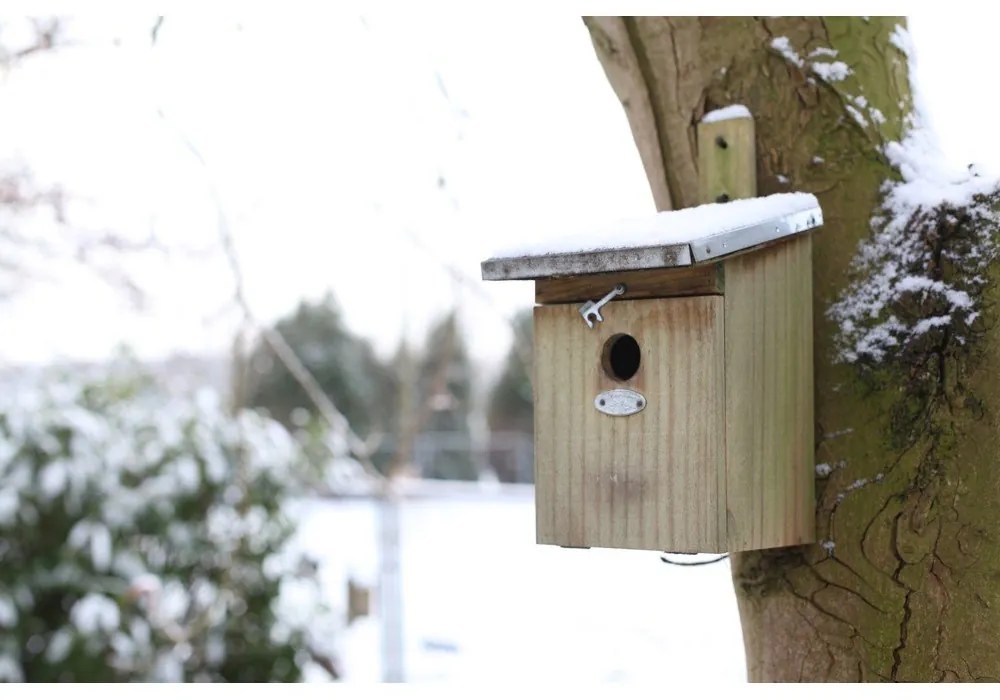 Fa madárház – Esschert Design