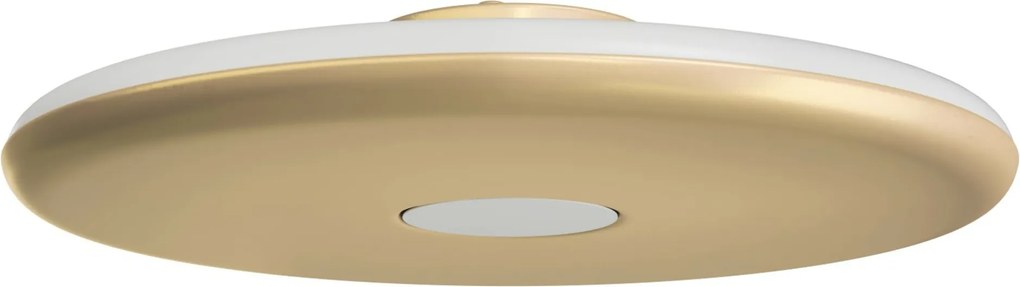 Osmont ZET60042 Zeta 2 Pf mennyezeti/fali műanyag lámpatest Golden Beach