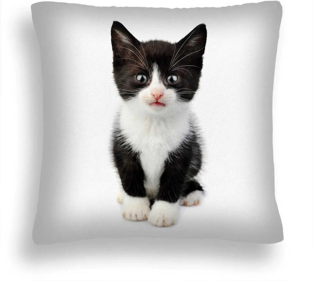 Nagy 50*50 Cica Párna 15 Fekete-fehér