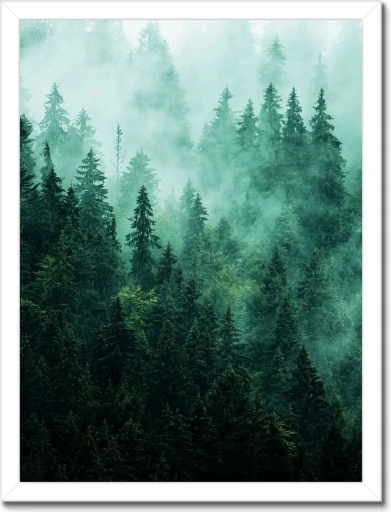 Poszter fehér keretben 30x40 Erdő Köd Tájkép Utazás