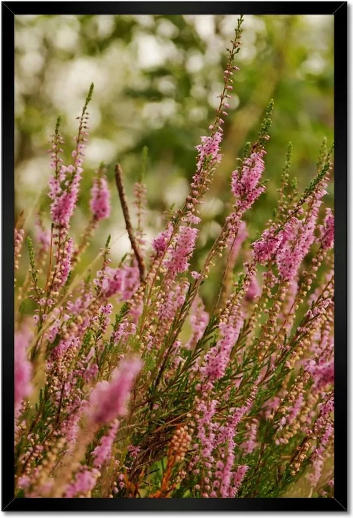 Poszter keretben 40x60 Hanga virágok lila
