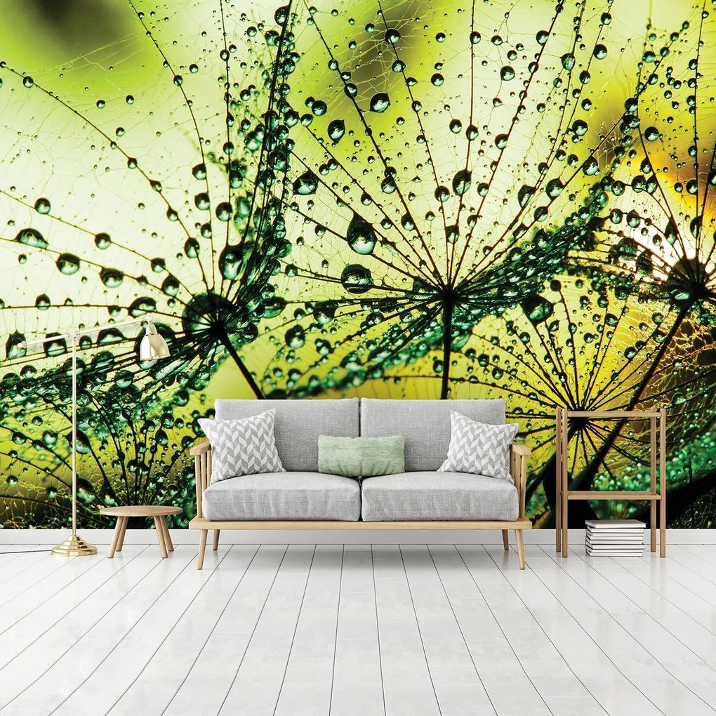 Fotótapéta - Pitypang - absztrakt - zöld (152,5x104 cm)