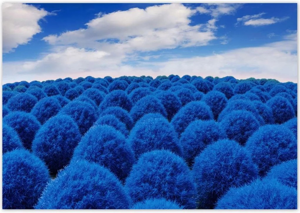 Poszterek 100x70 Klasszikus kék színben