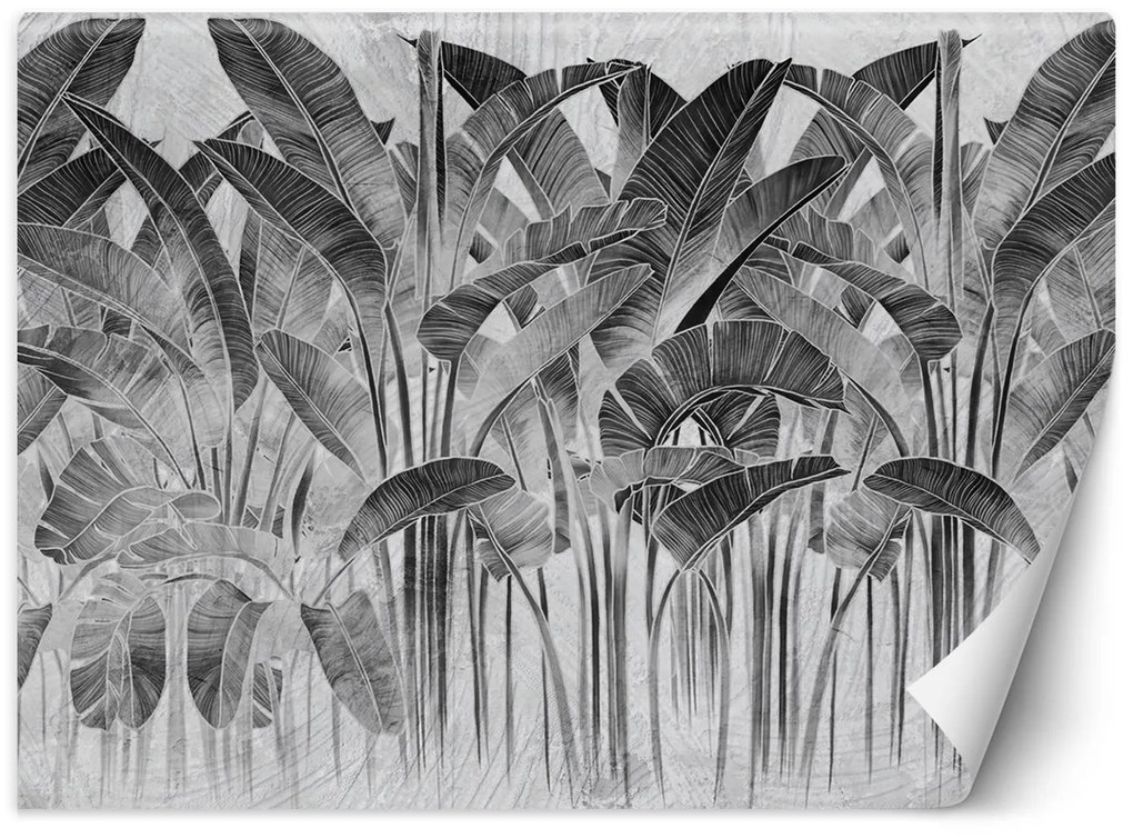 Gario Fotótapéta Banánlevelek fekete-fehérben Anyag: Vlies, Méret: 100 x 70 cm