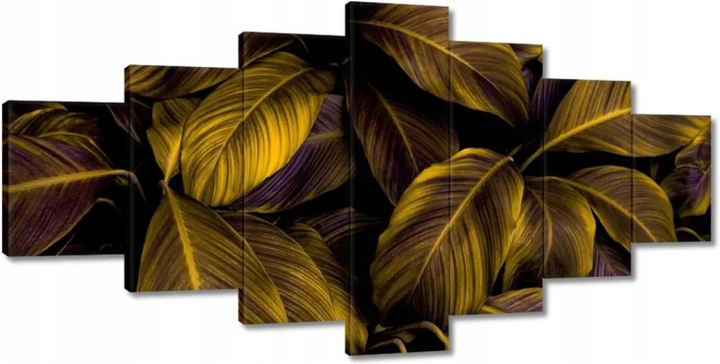 Képek 210x100 Gyönyörű mézszínű levelek