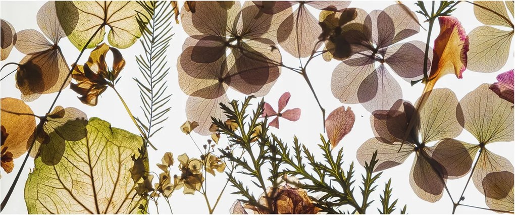 Fali fotótapéta Flizelina a konyhába Természetes kompozíció 250x104 Ragasztó