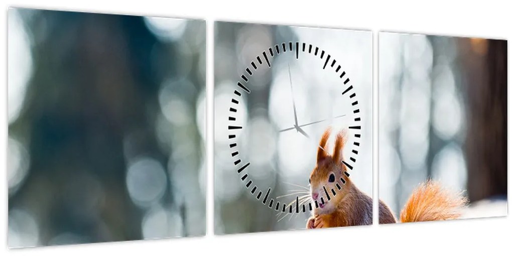 Kép - Mókus (órával) (90x30 cm)
