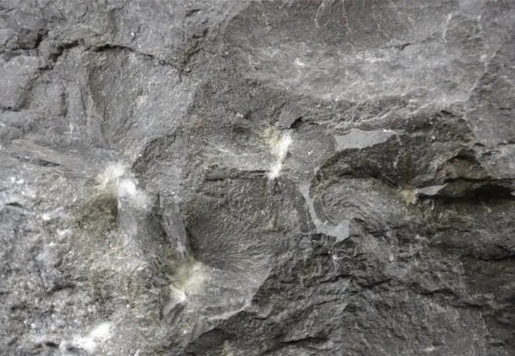 DIVERO Mosdókagyló márvány Black Ø47