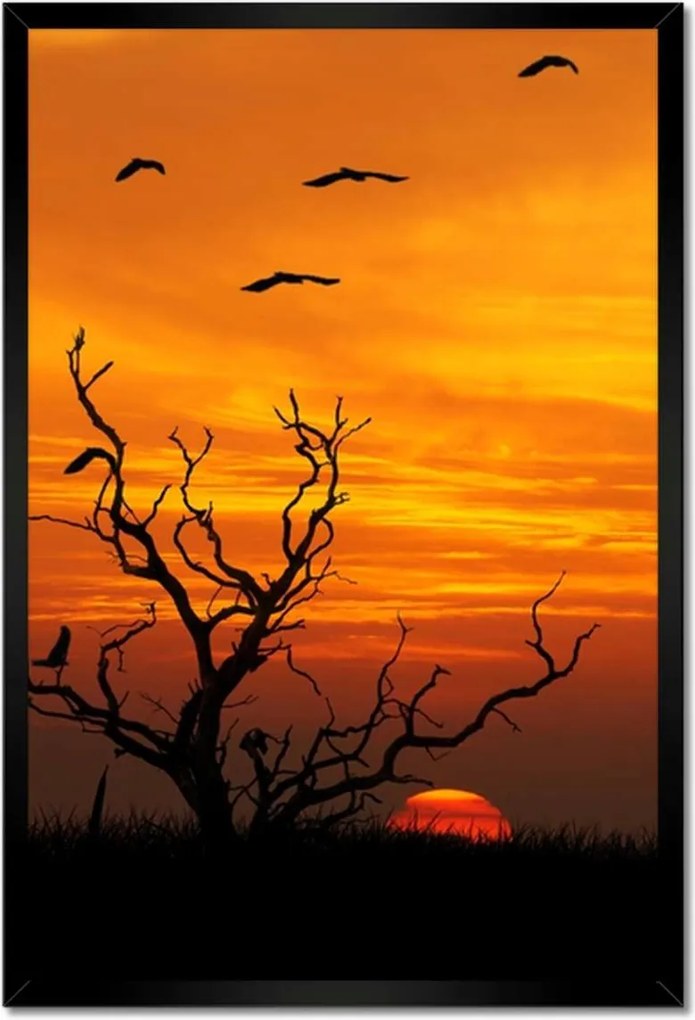 Poszterek keretben 40x60 Naplemente