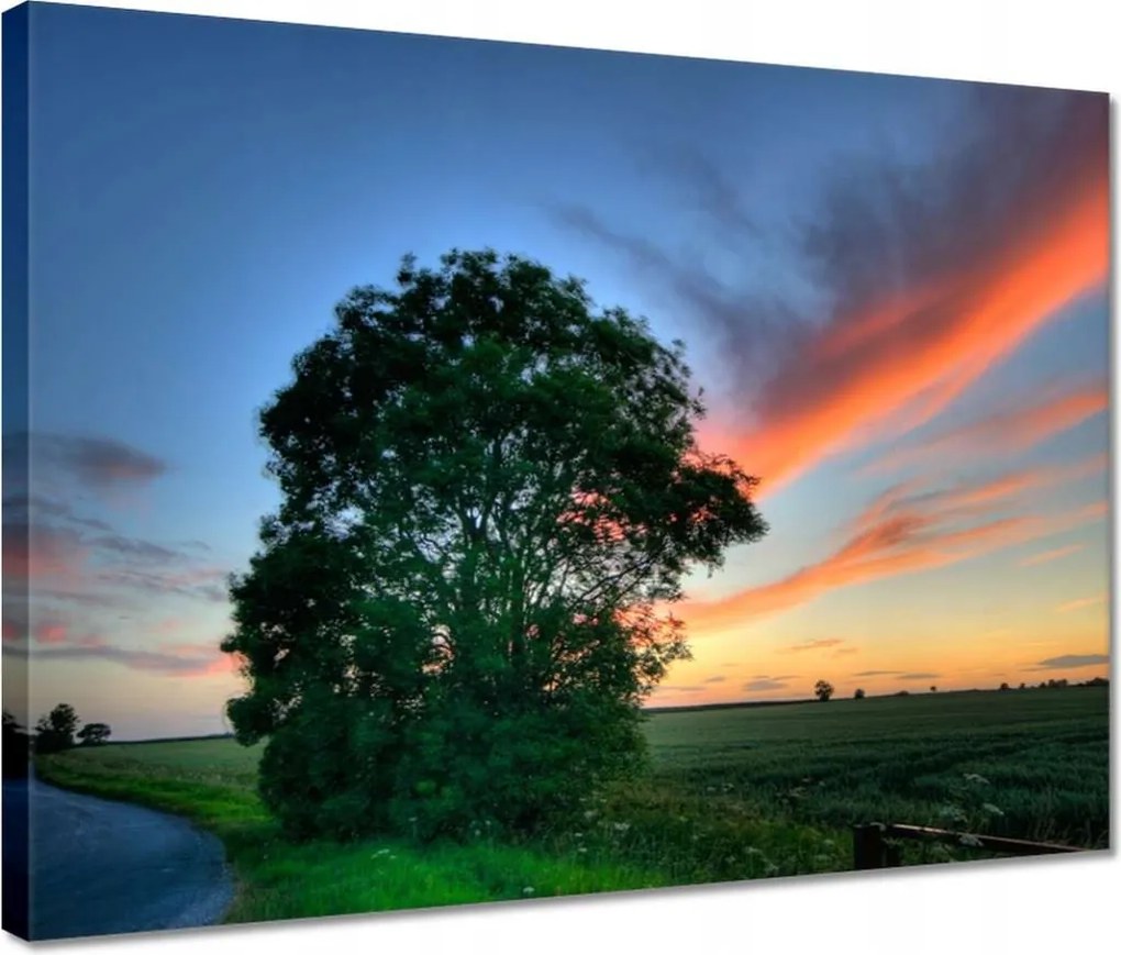 Vászonkép 40x30 Lángoló égbolt