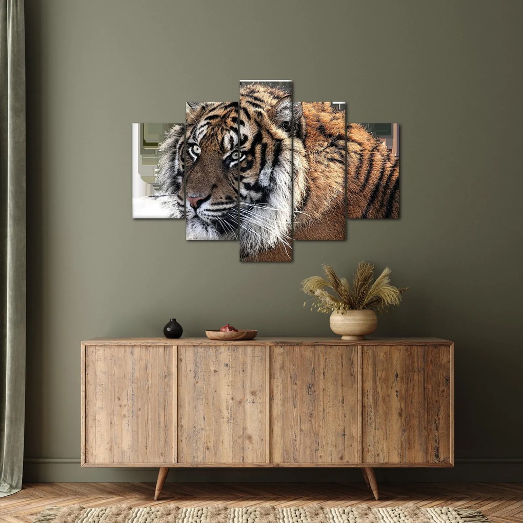 Tigris képe (150x105 cm)