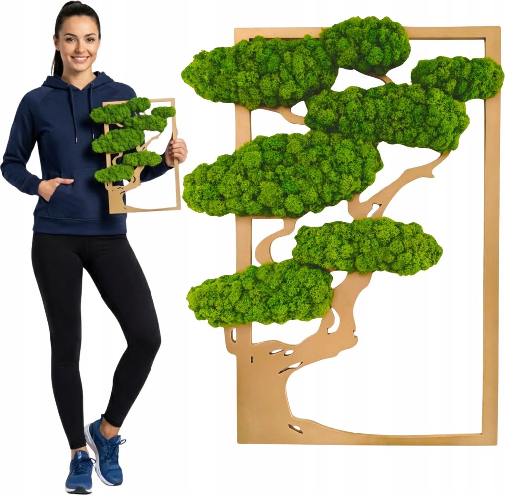 Mohafa Kép élő moha Stabilizált Bonsai Dekoráció