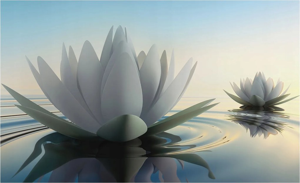 Fotótapéta Flizelina Nappali és Hálószoba Irodába Vízi liliomok 416x254 Ragasztó