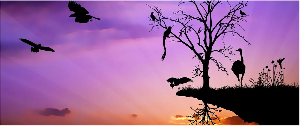 Kép - Állatok sziluettek (120x50 cm)