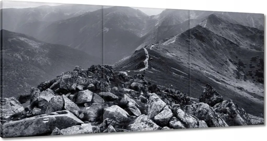 Festmények 120x60 A Tátra főcsúcsa