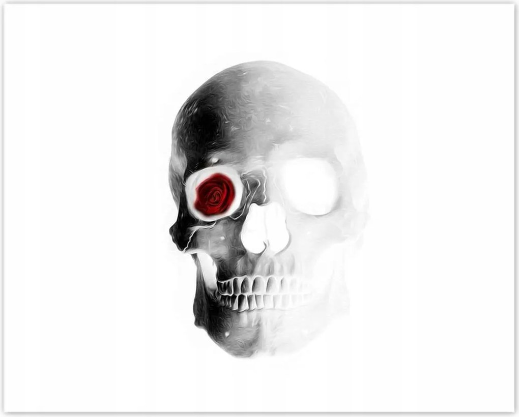 Poszterek 50x40 Koponya rózsával Rózsa