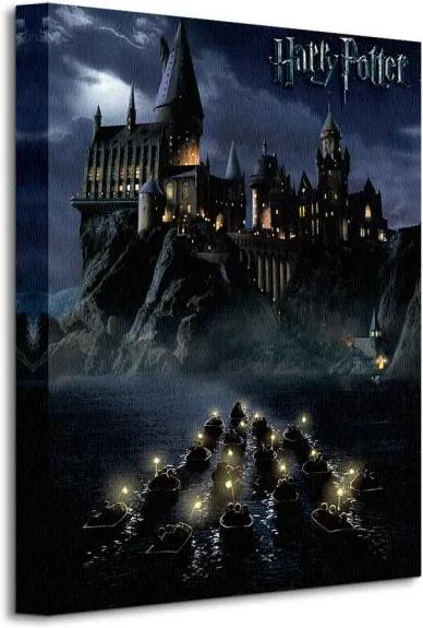 Vászonkép Harry Potter (Hogwarts School) 30x40cm WDC92246