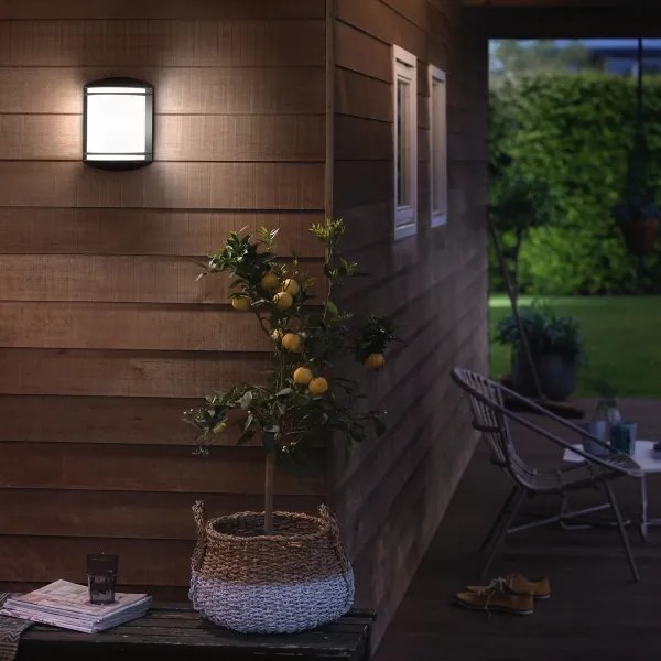 Philips 17320/30/P3 - Kültéri fali lámpatest ANTELOPE LED/6W/230V IP44