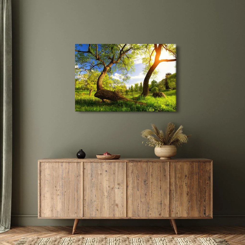 Kép egy tavaszi rétről (90x60 cm)