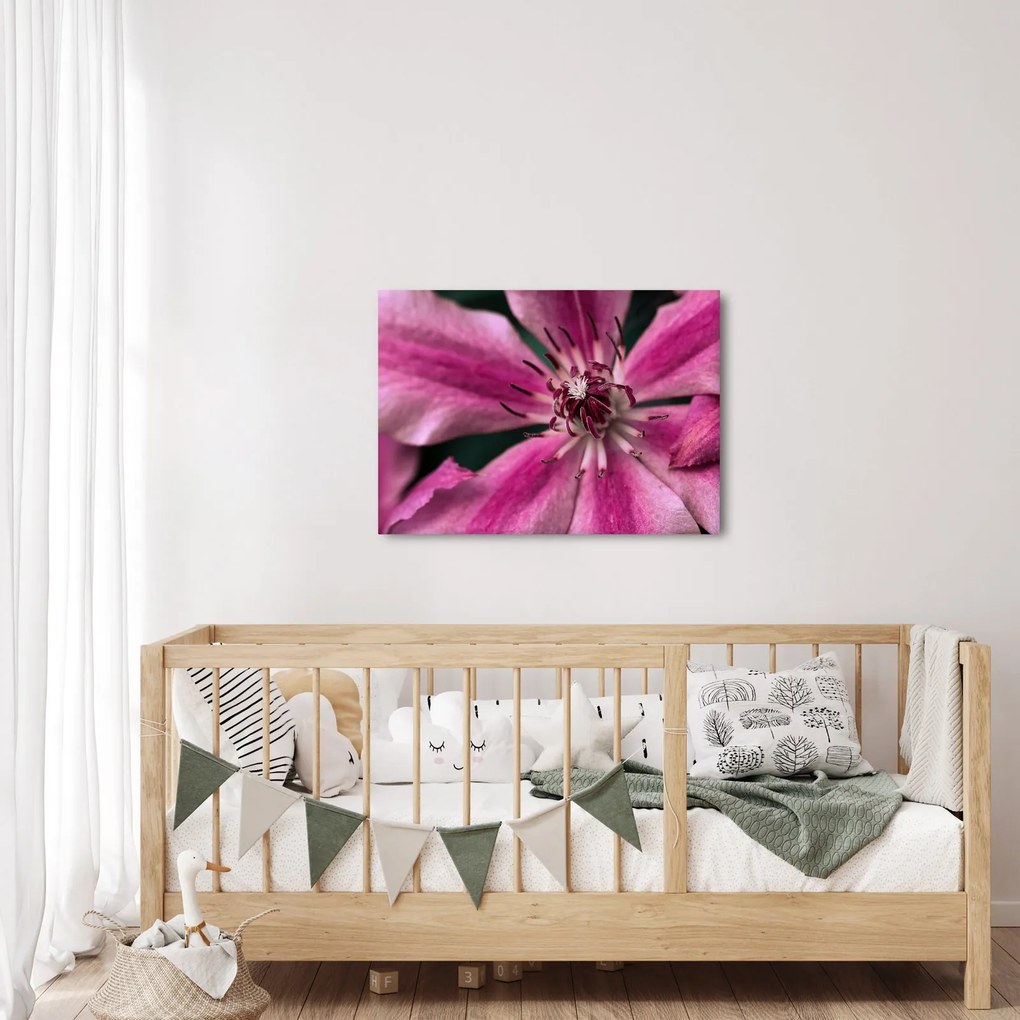 Rózsaszín flamingóvirág képe (70x50 cm)