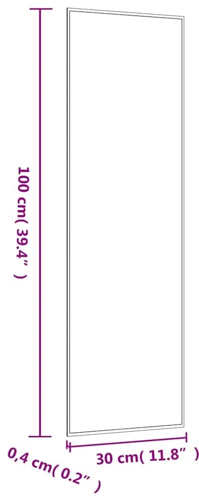 téglalap alakú üveg falitükör 30 x 100 cm