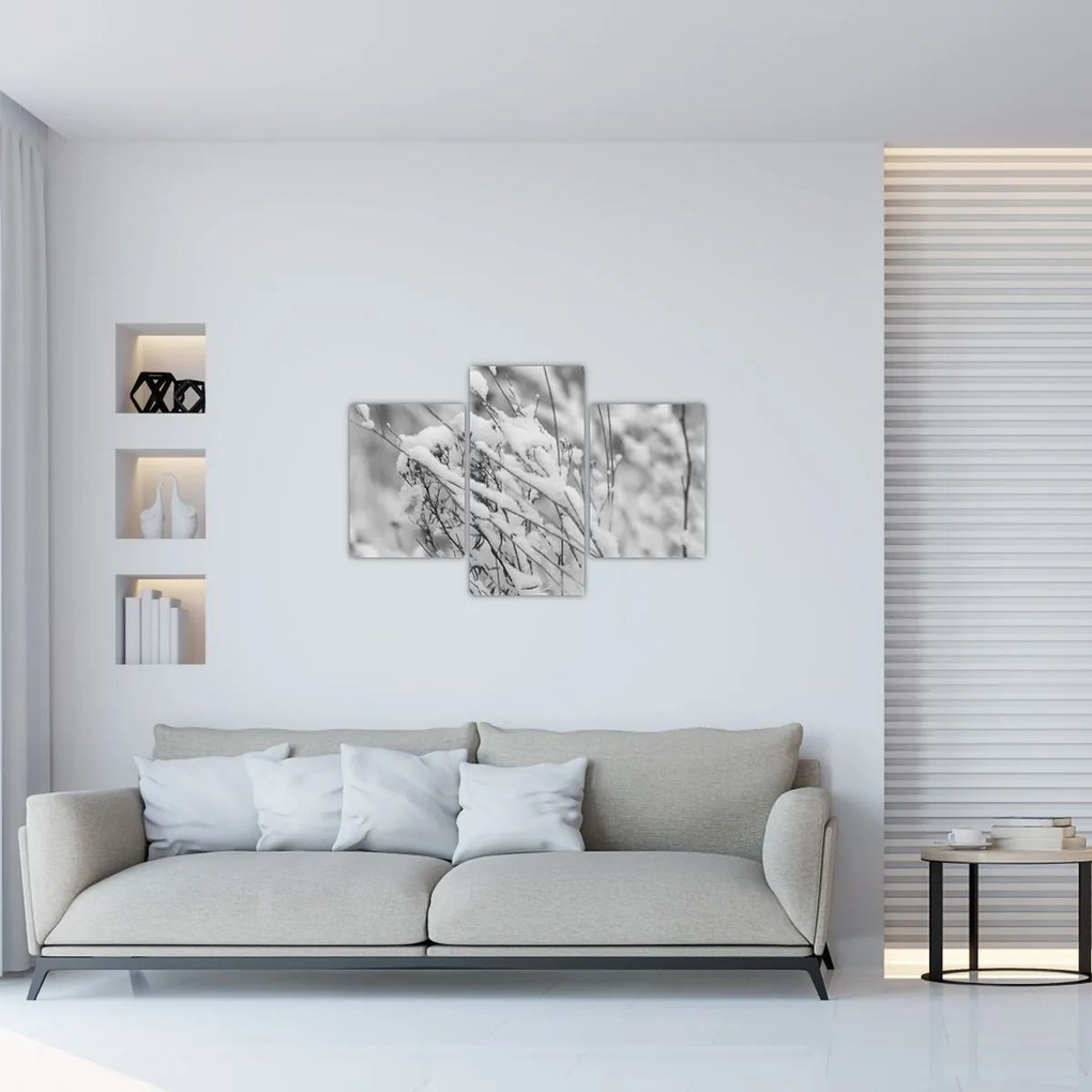 Kép - Havas ágak (90x60 cm)