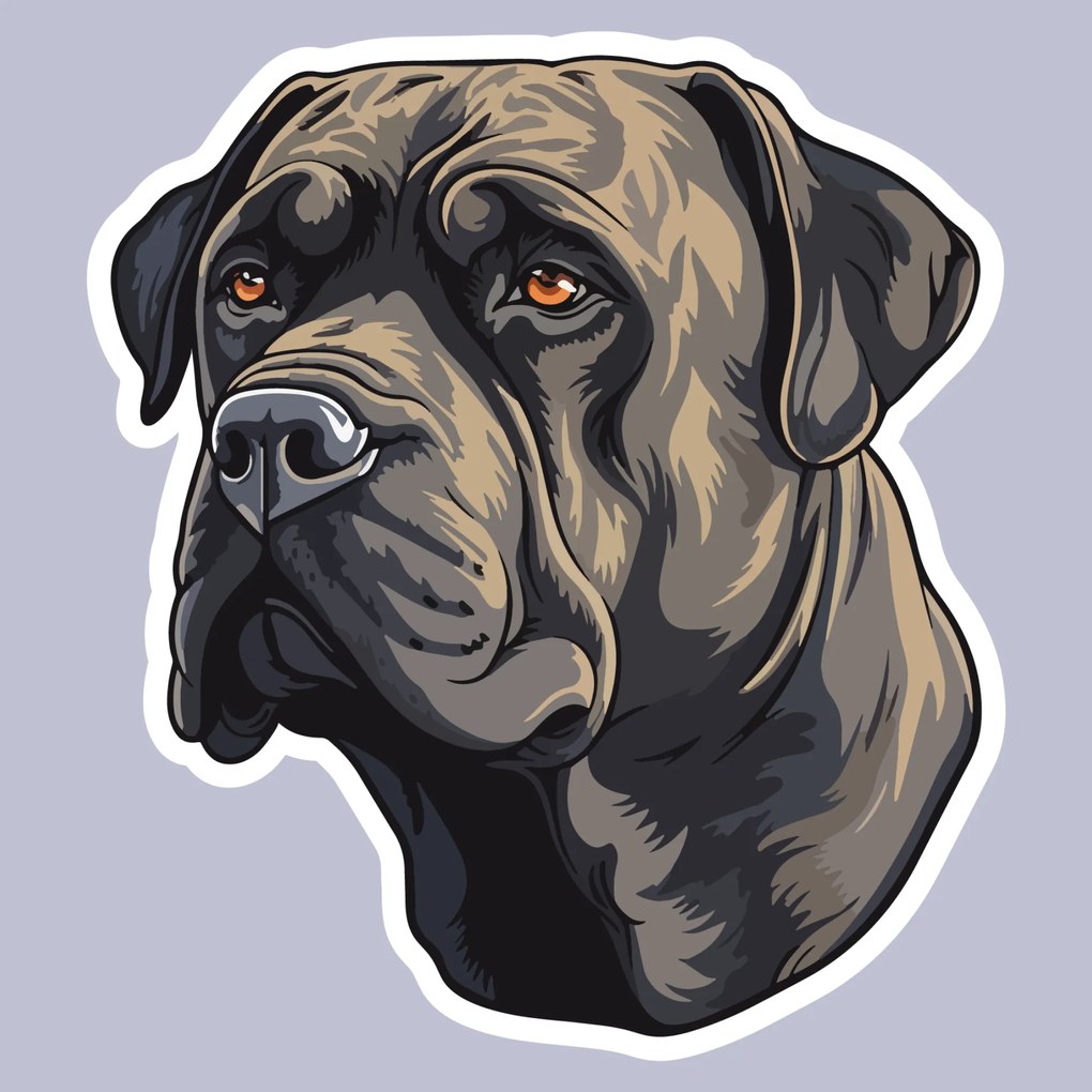 PIPPER. Matrica Cane Corso Méret: 15cm