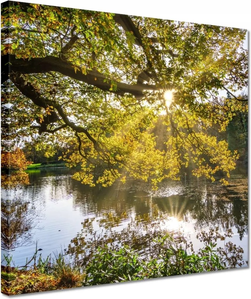 Festmények 30x30 Tájkép