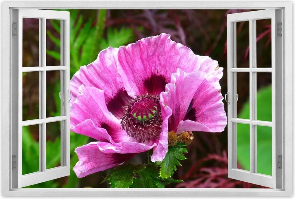 Poszter 60x40 Lila virág