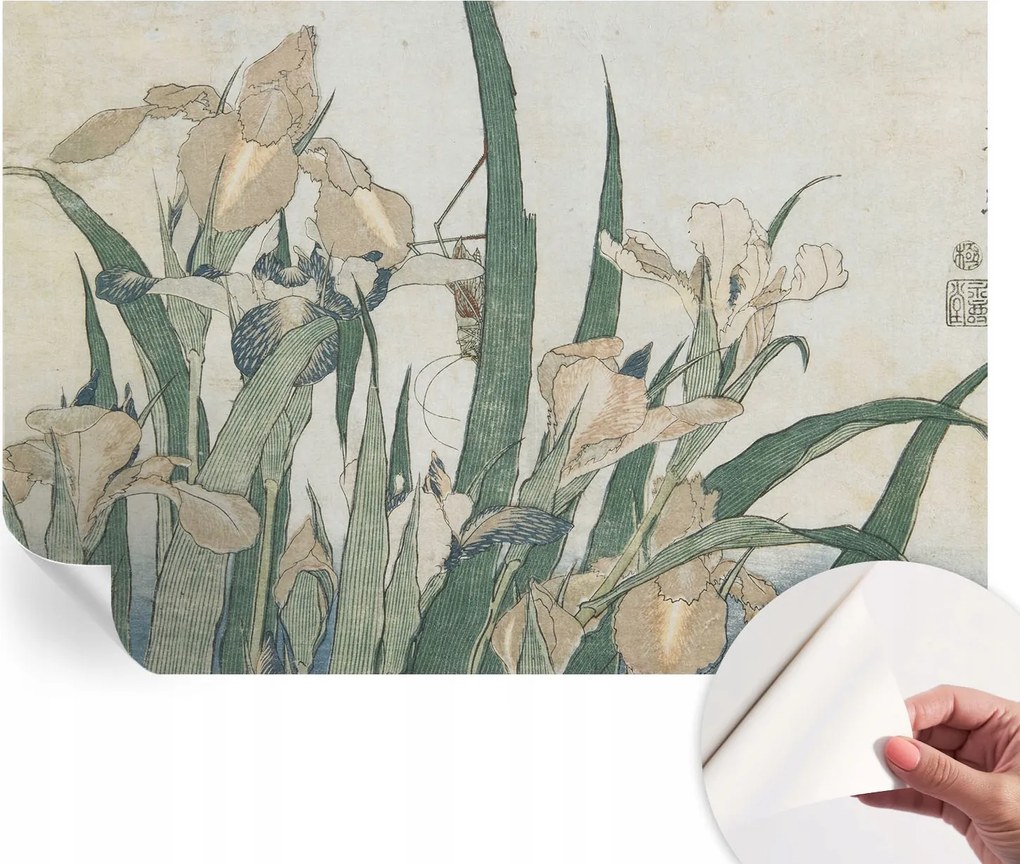 Mosható öntapadós fotótapéta étkezőbe Finom íriszek 152x104 cm