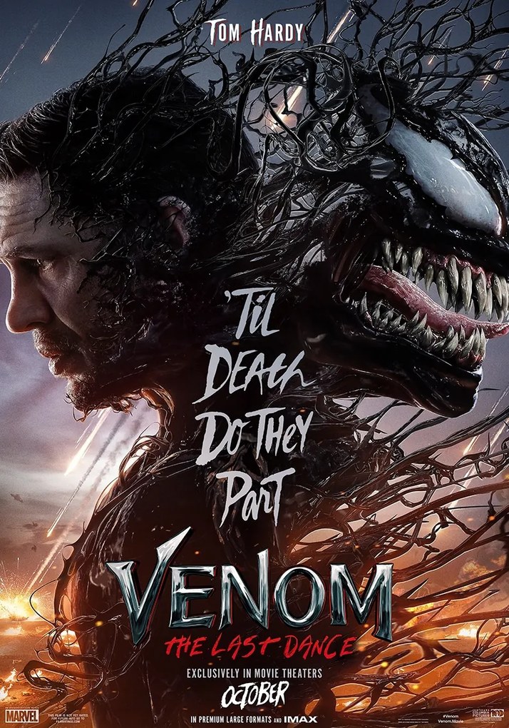 Venom filmposzter The Last Dance (2024) 100x70 cm #422