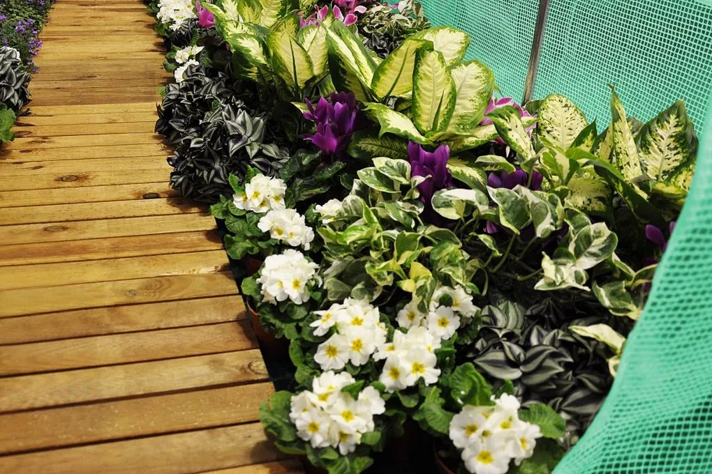 Home &amp; Garden Fóliasátor 250 x 400 cm(10 m2) zöld