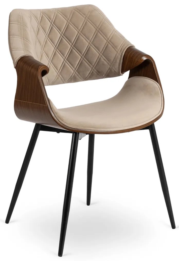 Elegáns Bársony Étkezőszék Bézs/Dió Színben. DAKOTA
