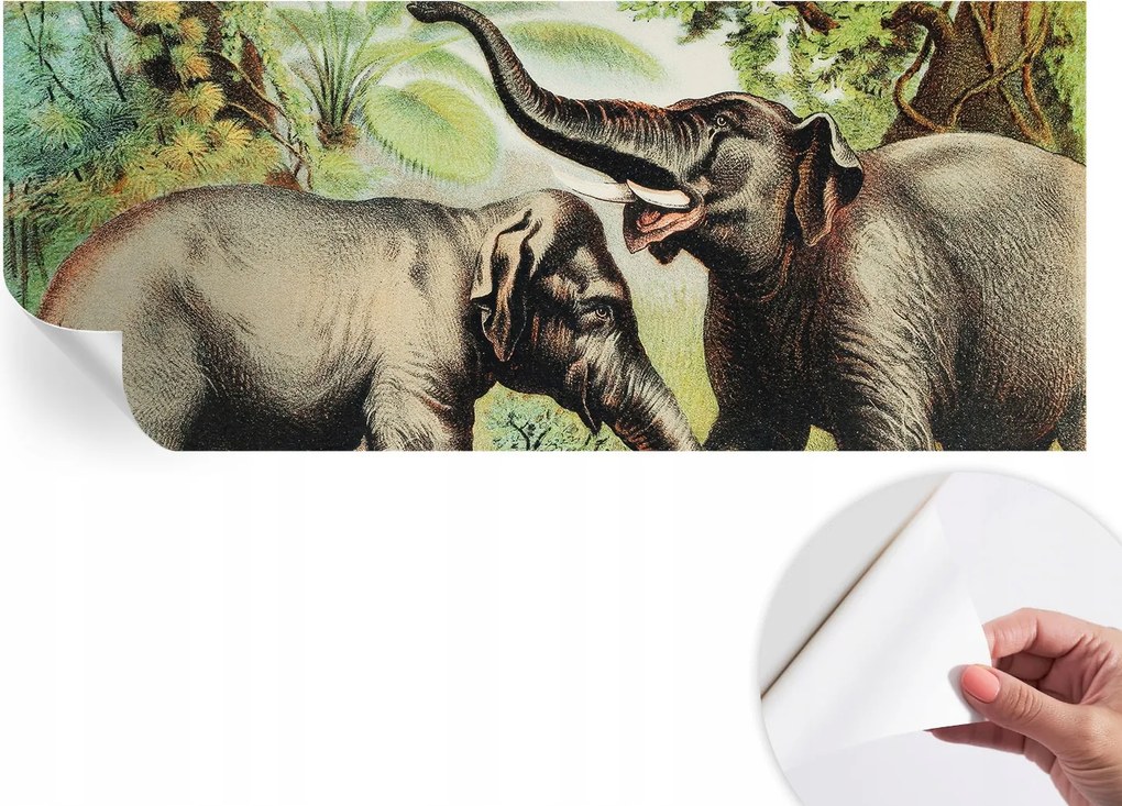 Öntapadós tapéta Fali furnér 3D hatás Családi elefántok 250x104 cm