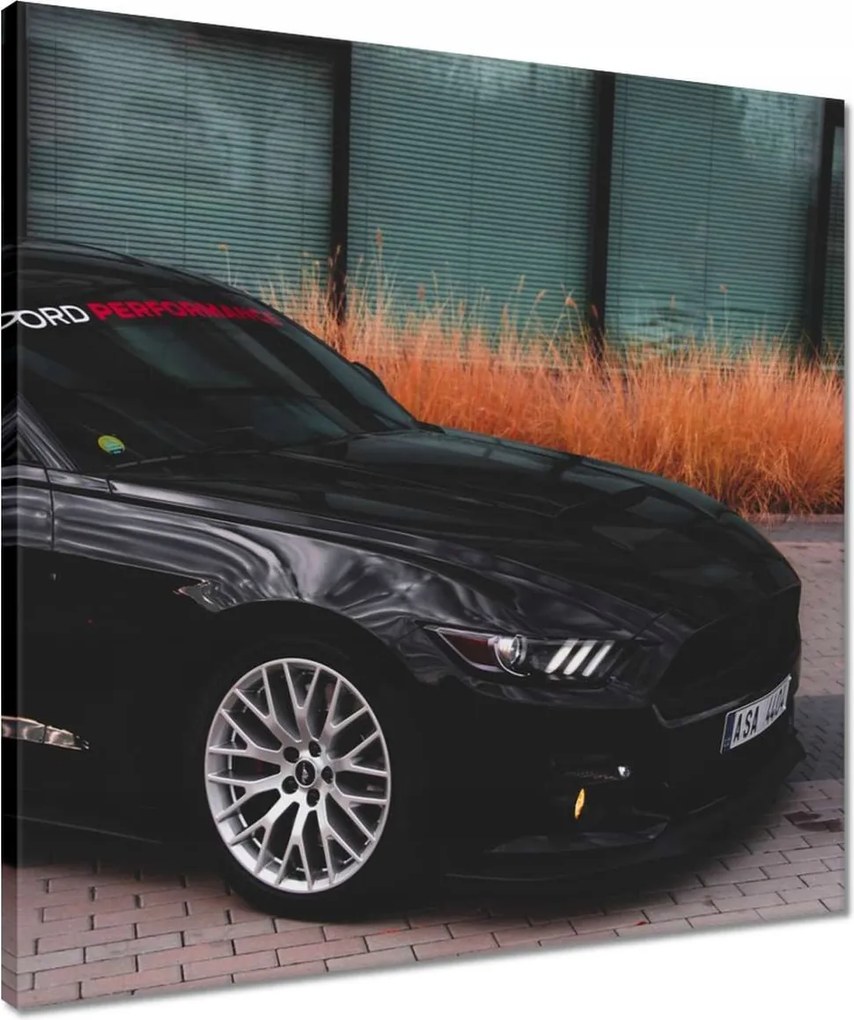 Vászonkép 50x50 Ford Mustang Usa autó