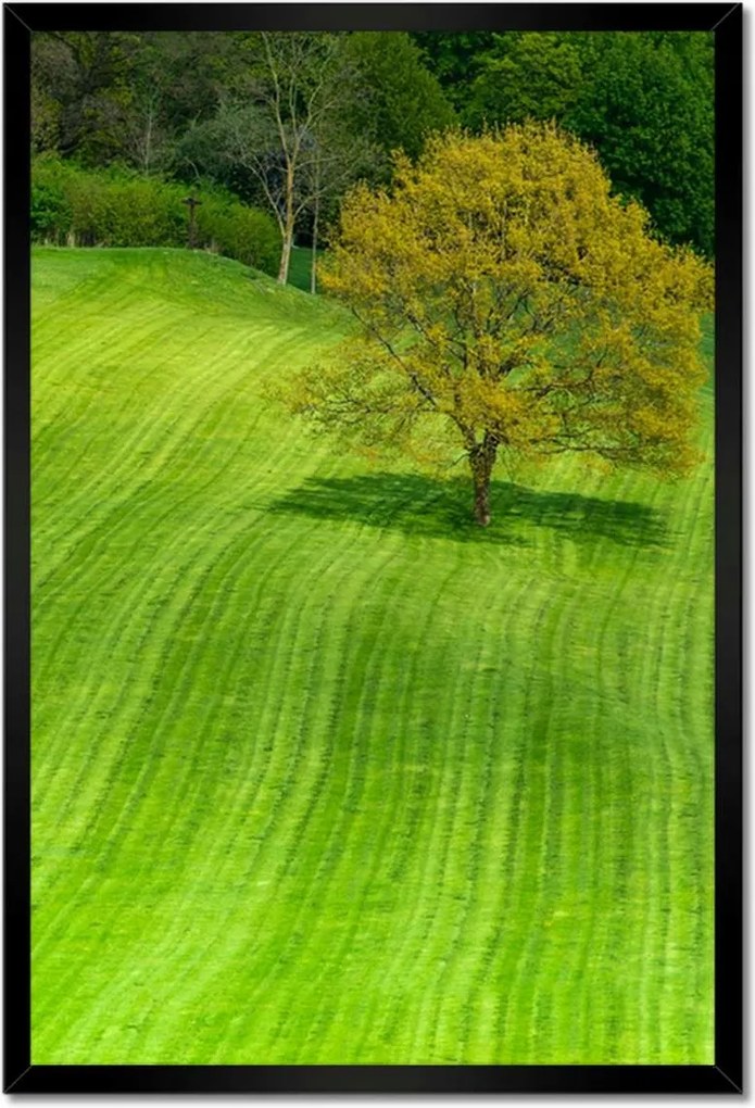 Poszterek keretben 40x60 Golfpálya