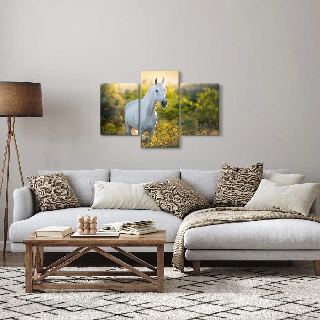 Egy fehér ló képe a réten (90x60 cm)