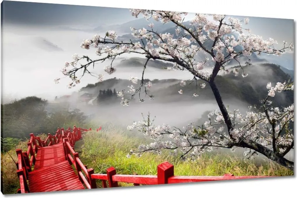 Vászonkép 120x70 Vörös híd Japánban