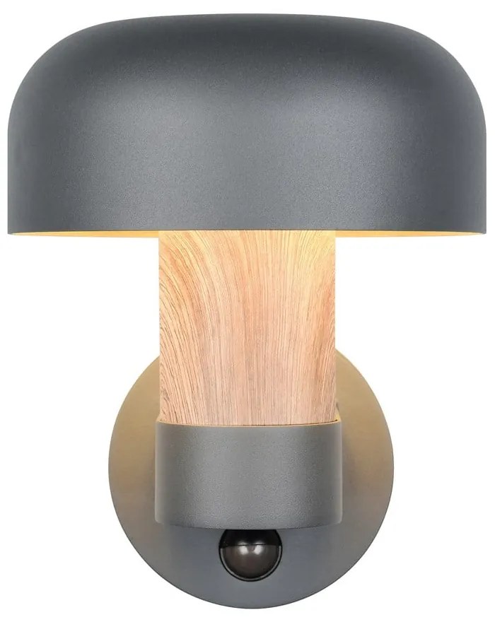 Fali kültéri lámpa (magasság 24,5 cm) Fraser – Trio