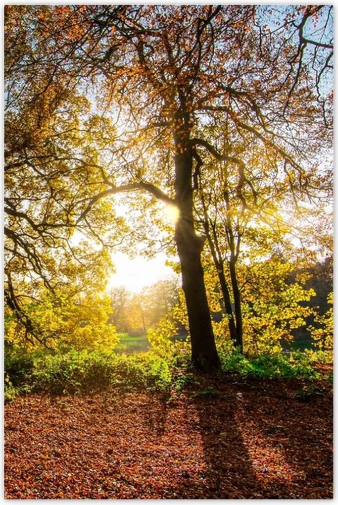 Poszterek 60x90 Tájkép