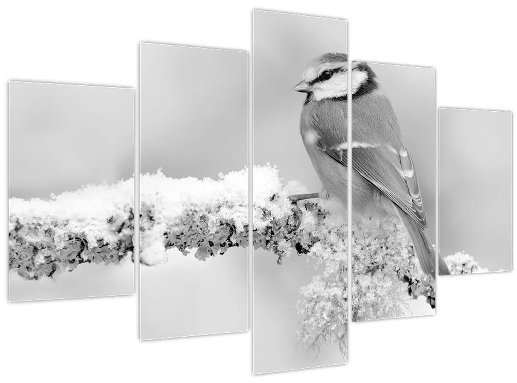 Kép - Egy madár egy ágon (150x105 cm)