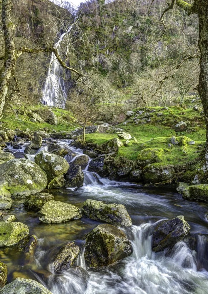 Poszter 29,7x42cm Aber 2 vízesés, Assaf Frank