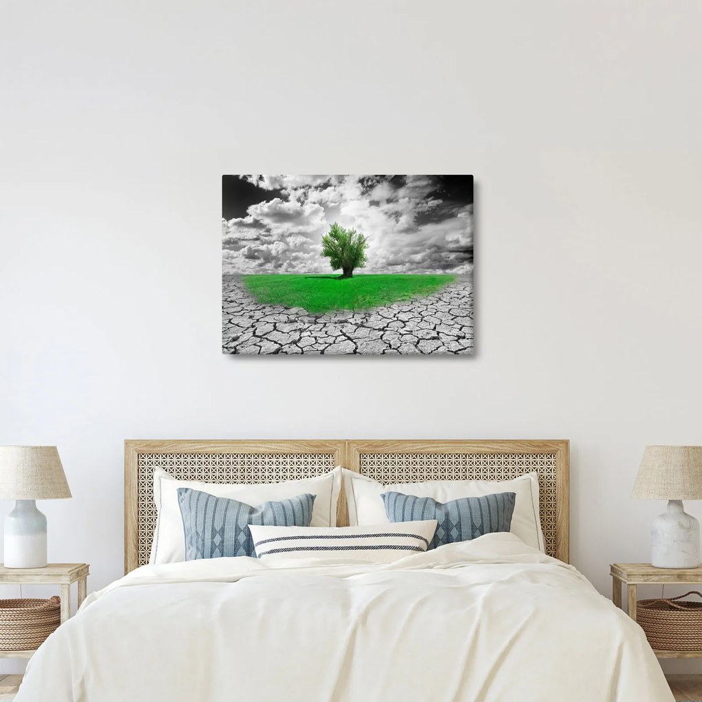 Kép - egy darab természet a városban (70x50 cm)