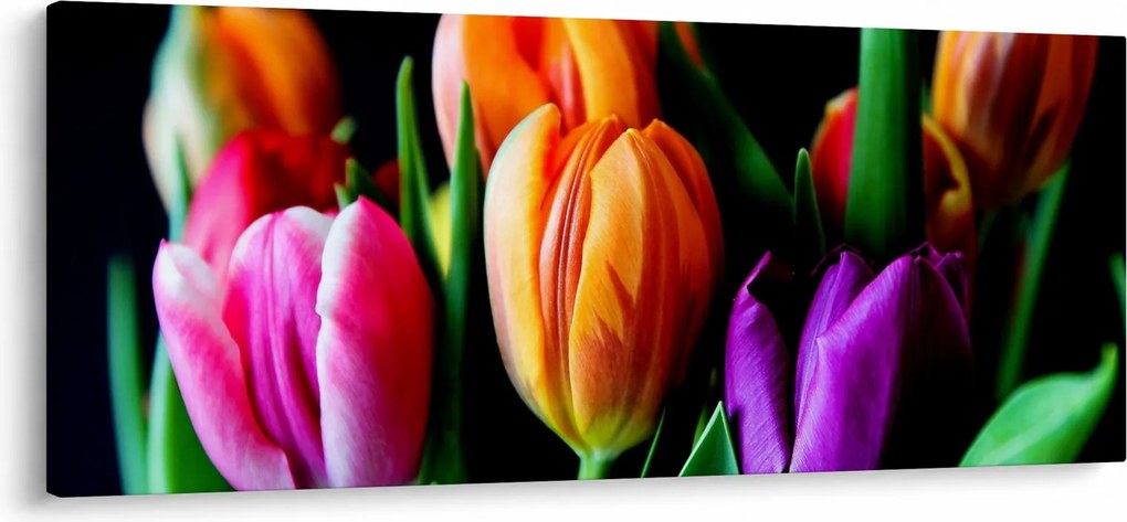 Tulipánok képe fekete alapon (120x50 cm)